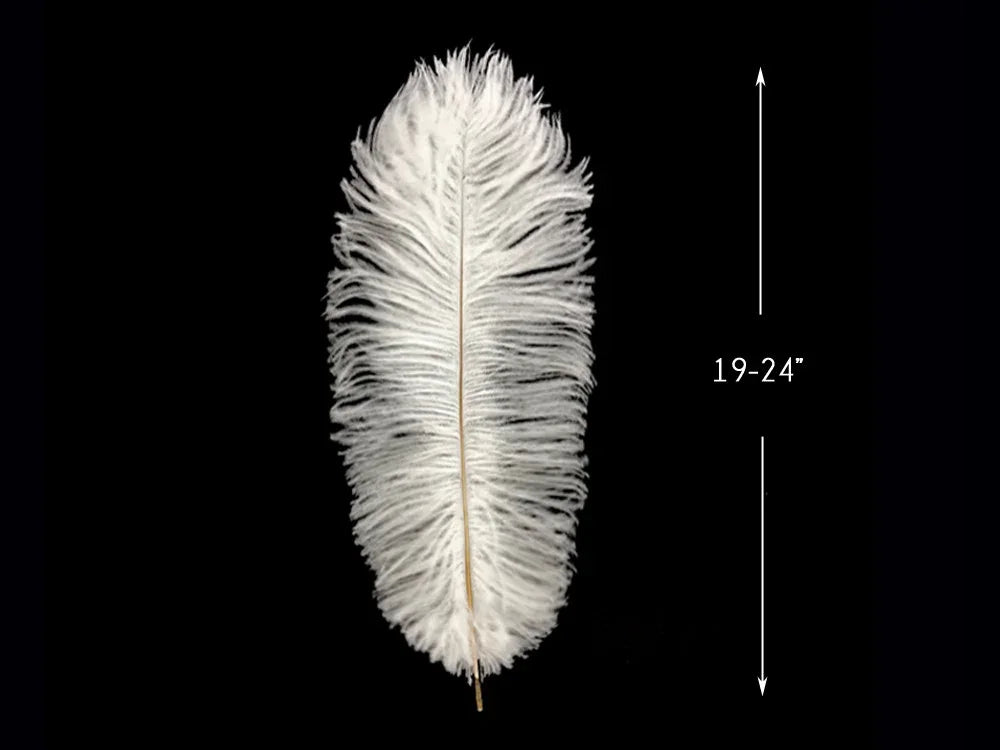 Large white ostrich feather for crafts and fashion decor, 19-24 inches long.