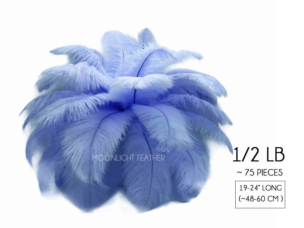 Bundle of 75 light blue ostrich feathers, 19-24 inches long, for DIY crafts and fashion.