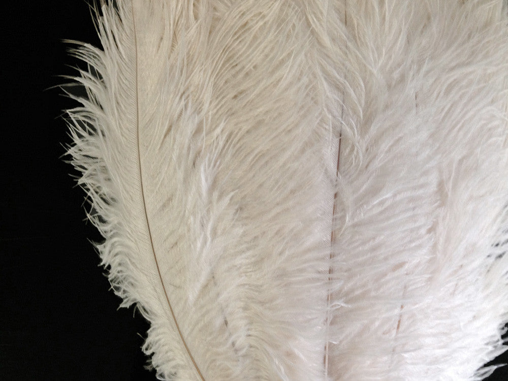 1/2 Lb. - 9-13" Off White Bleached Ostrich Body Drab Wholesale Feathers (Bulk)