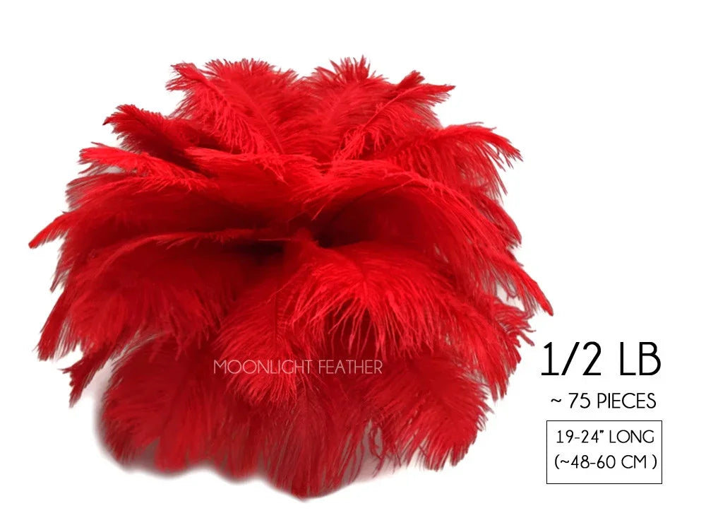 Vibrant red ostrich feathers for crafts and fashion decor, 75 pieces, 19-24 inches long.