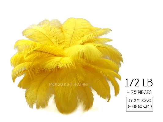 1/2 Lb. - 19-24" Yellow Ostrich Extra Long Drab Wholesale Feathers (Bulk)