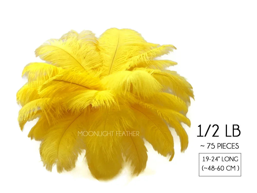 Bright yellow ostrich feathers for DIY crafts and fashion decor, 75 pieces pack.