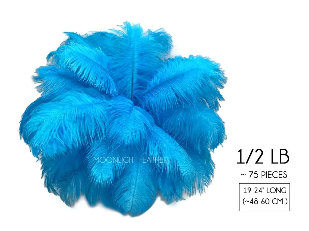 Vibrant blue ostrich feathers for crafts and fashion, 75 pieces, 19-24 inches long.