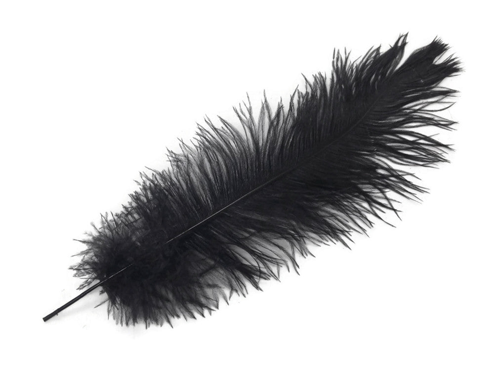 10 Pieces - 14-17" Black Ostrich Dyed Drab Body Feathers