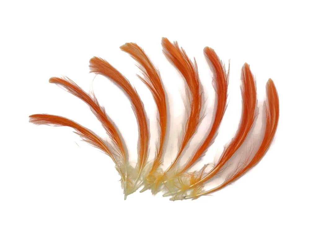 Set of vibrant orange and white natural feathers for DIY crafts and fashion decor.