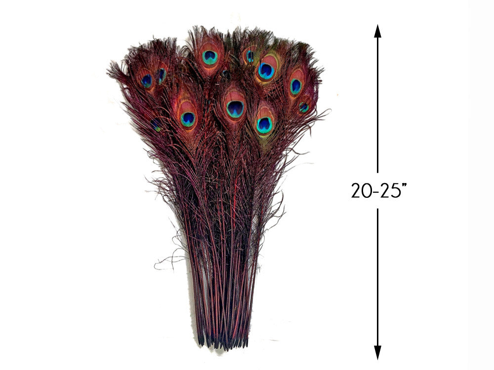 50 Pieces - 20-25" Burgundy Dyed Over Natural Long Peacock Tail Eye Wholesale Feathers (Bulk)