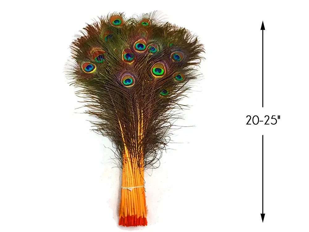 Bundle of vibrant peacock feathers for crafts and decor, 20-25 inches long.