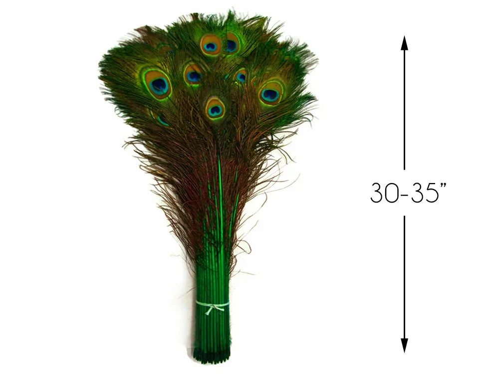 Bundle of long peacock feathers for crafts and decor, 30-35 inches in length.