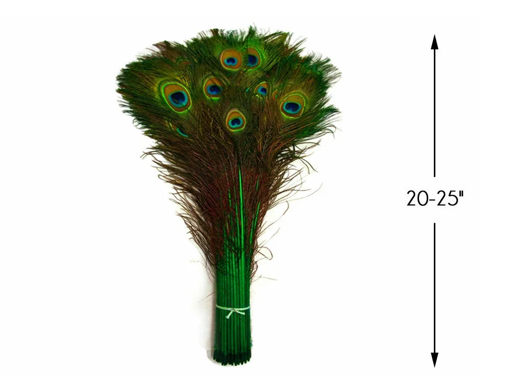 Bundle of vibrant peacock feathers for crafts and decor, 20-25 inches long.