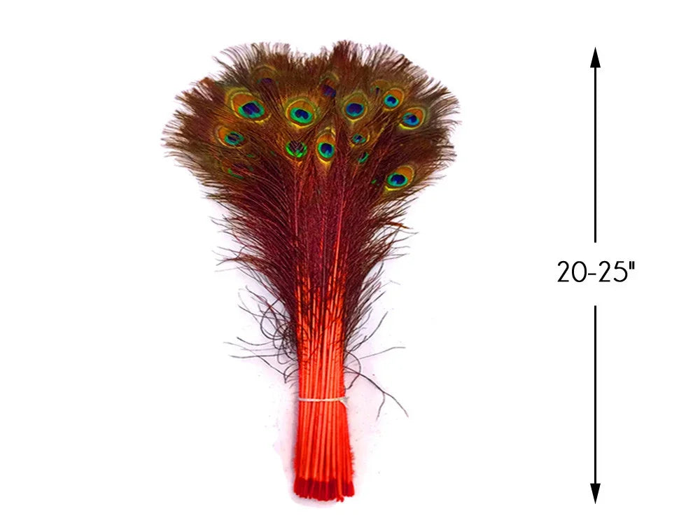 Bundle of 20-25 inch iridescent peacock feathers for crafts and decor.
