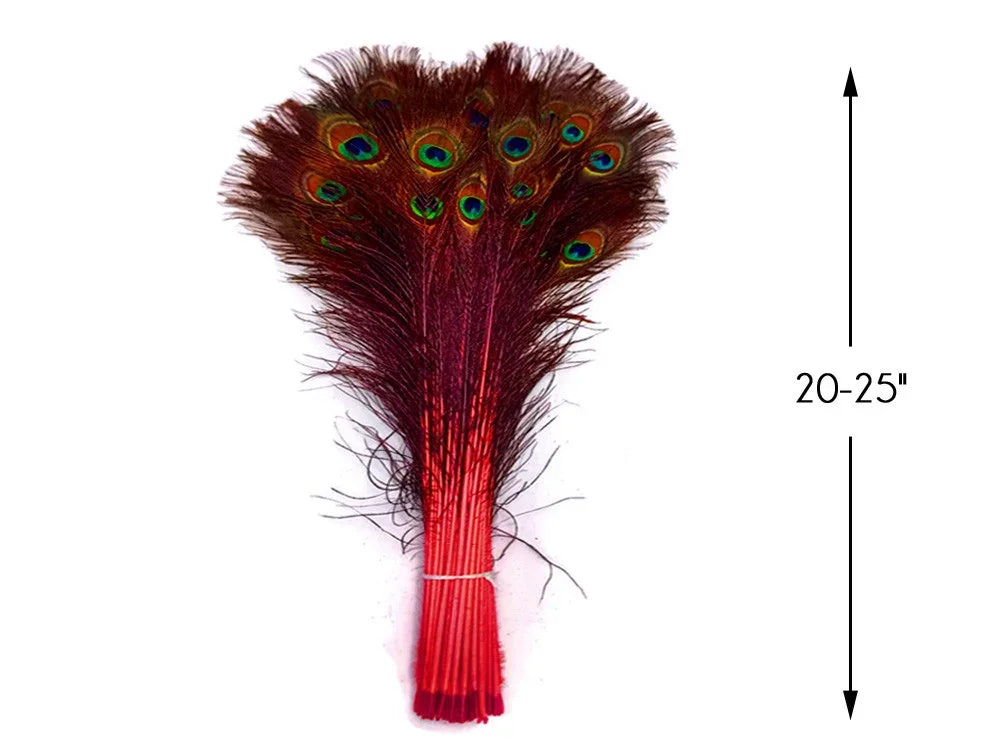 Bundle of vibrant peacock feathers for crafts and decor, 20-25 inches long.