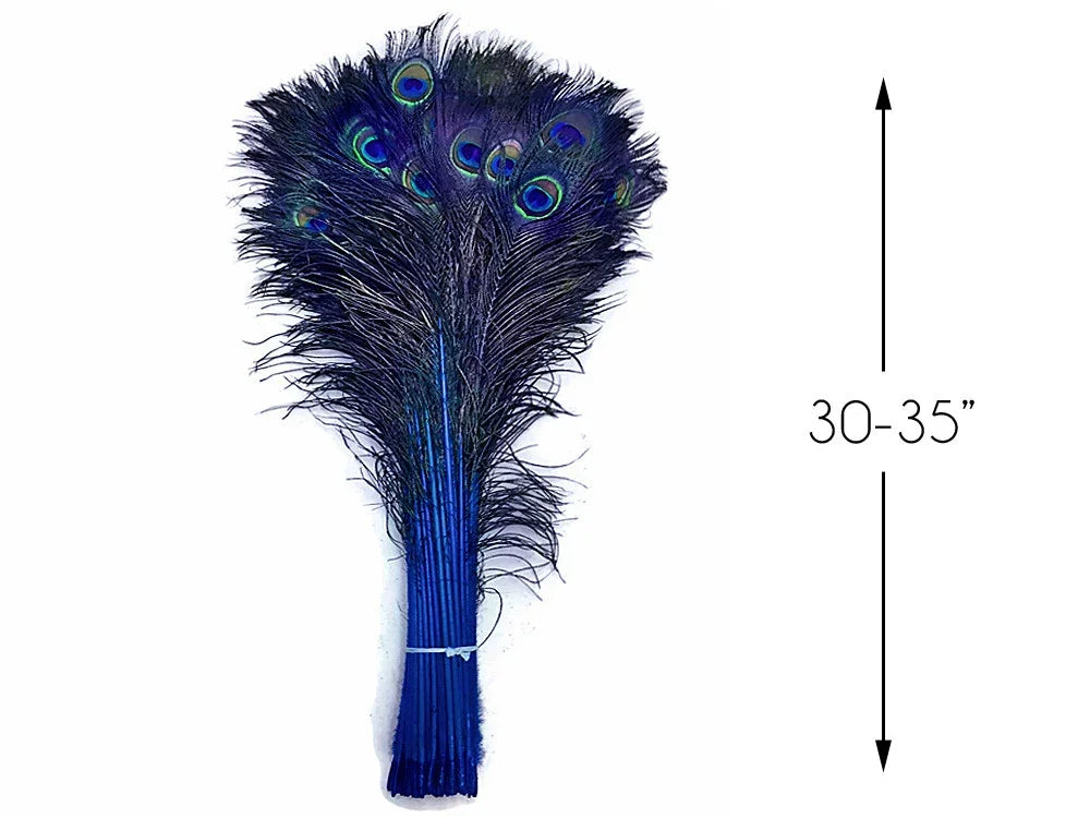 Bundle of iridescent blue peacock feathers, 30-35 inches long for crafts and decor.
