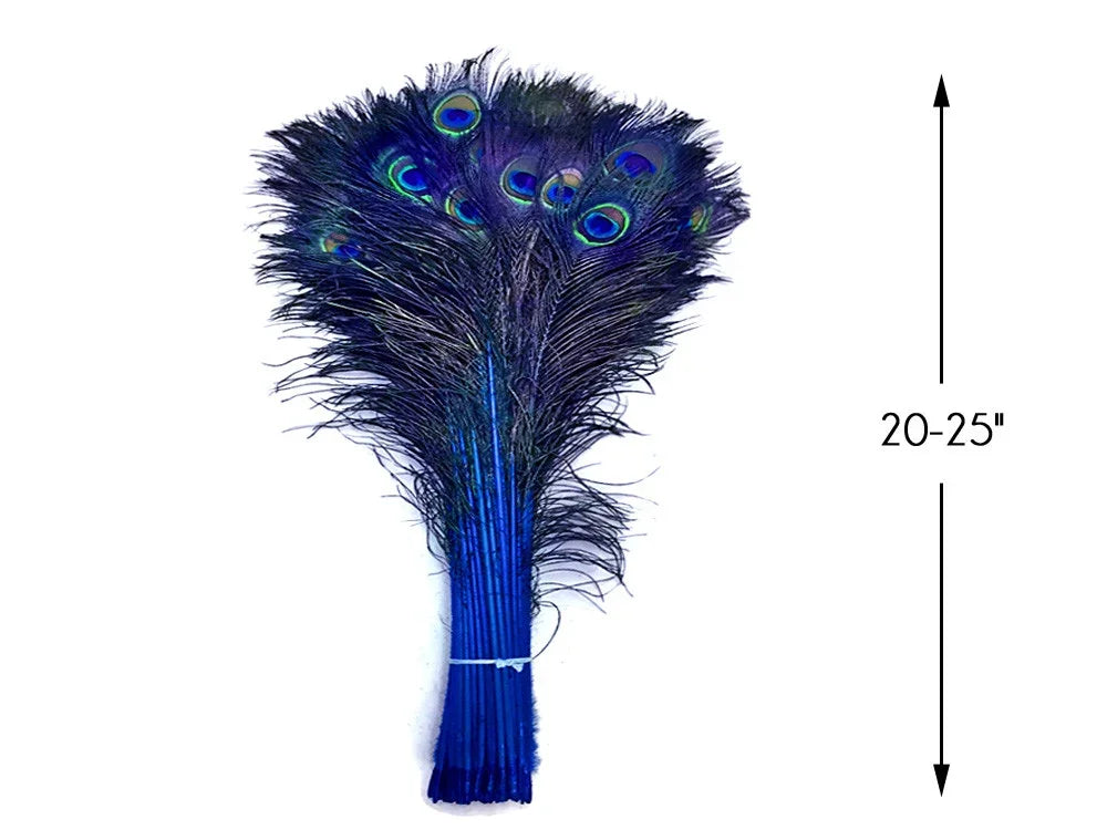 Bundle of vibrant blue peacock feathers for crafts and decor, 20-25 inches long.