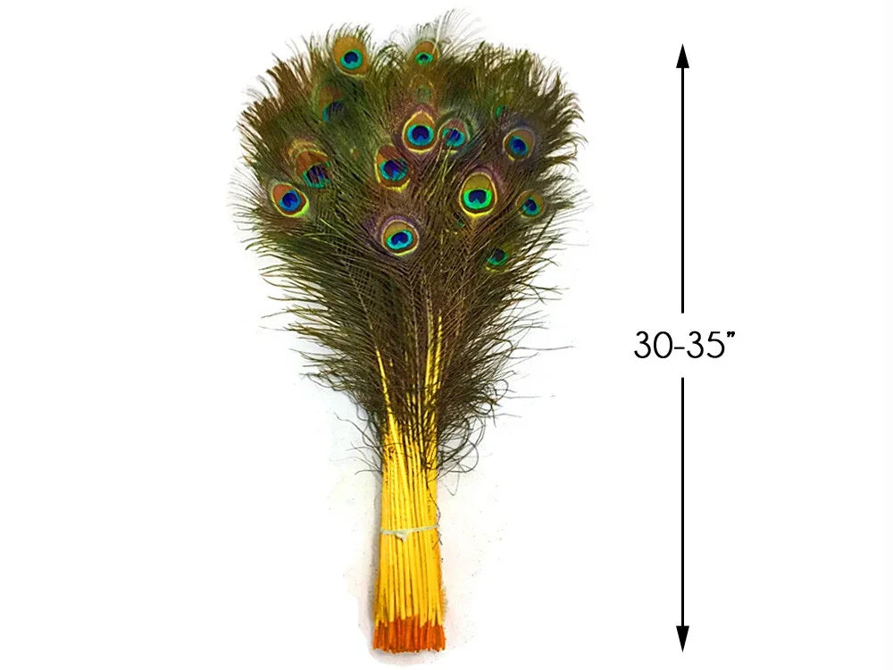 Bundle of 30-35 inch long iridescent peacock feathers for crafts and decor.