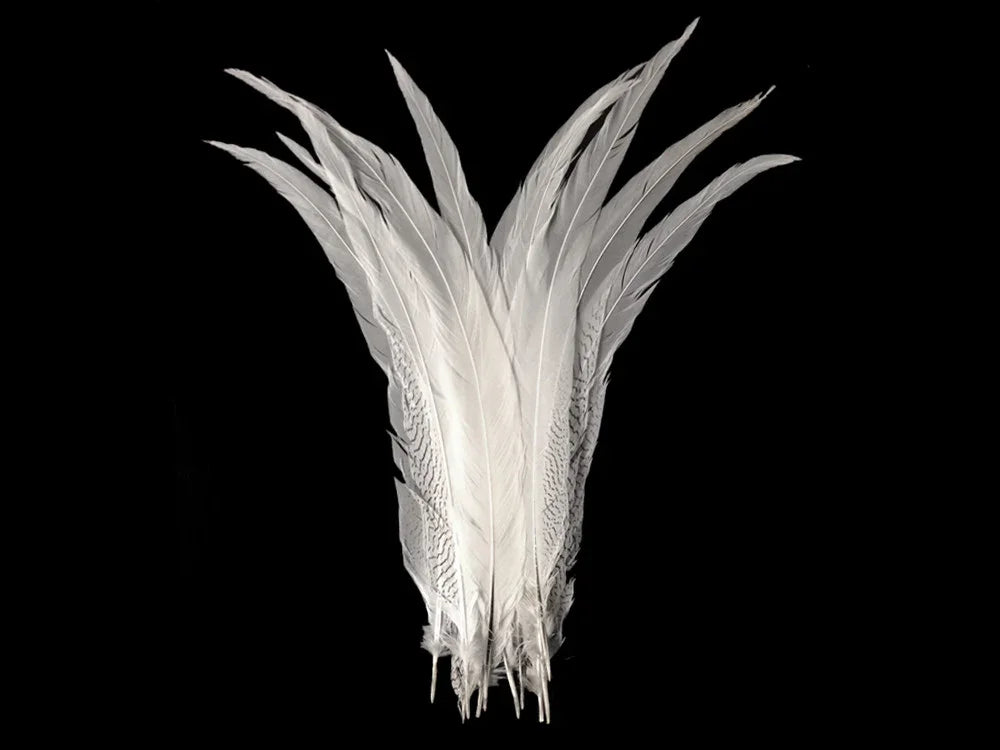 Elegant white ostrich feathers for fashion, crafts, and DIY decor against a black background.