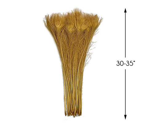 50 Pieces - 30-35" Dusty Gold Bleached & Dyed Peacock Tail Eye Wholesale Feathers (Bulk)