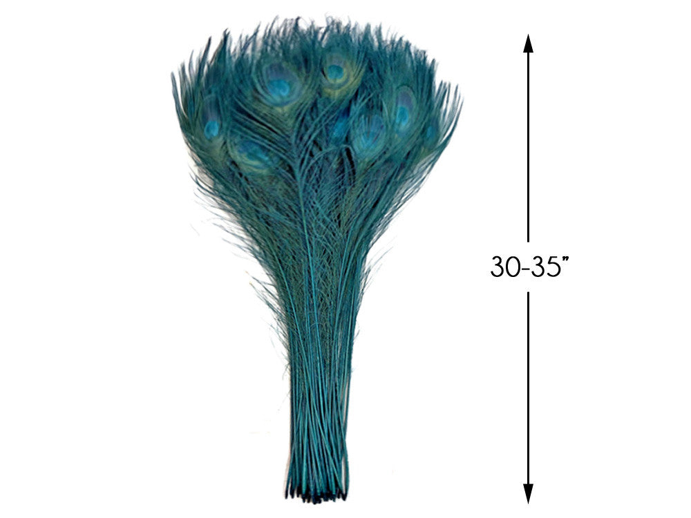 50 Pieces - 30-35" Teal Green Bleached & Dyed Peacock Tail Eye Wholesale Feathers (Bulk)