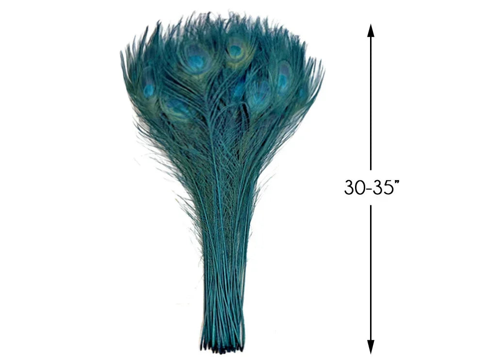 Bundle of 30-35 inch blue peacock feathers for crafts and decor.
