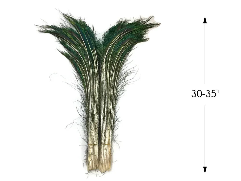 Long 30-35 inch green and white peacock feathers for DIY crafts and fashion décor.