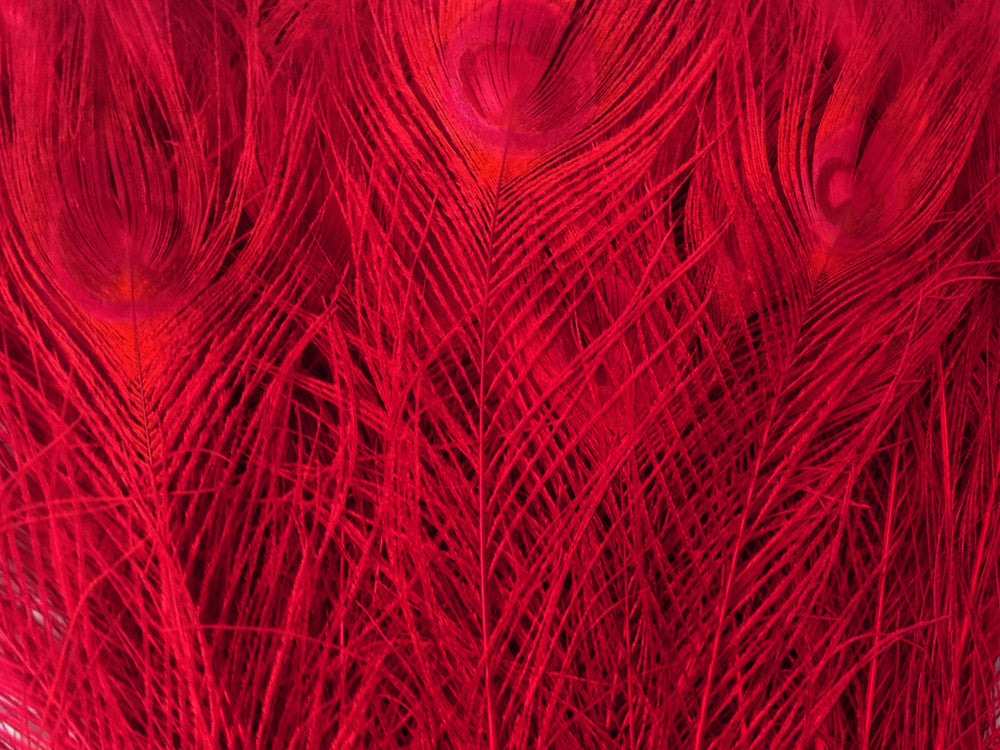 100 Pieces – Red Bleached & Dyed Peacock Tail Eye Wholesale Feathers (Bulk) 10-12” Long