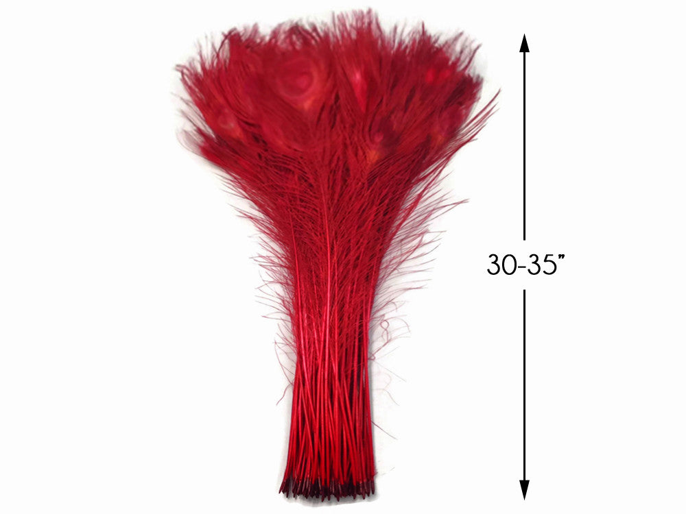 50 Pieces - 30-35" Red Bleached & Dyed Peacock Tail Eye Wholesale Feathers (Bulk)