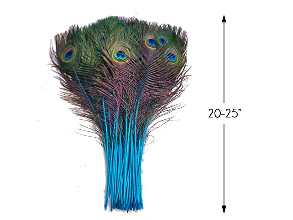 Bundle of iridescent peacock feathers with blue stems, 20-25 inches long for crafts and decor