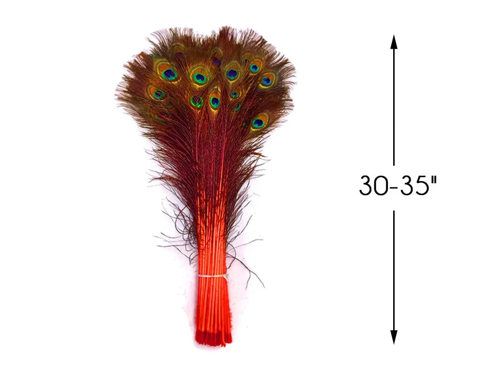 Bundle of 30-35 inch vibrant peacock feathers for crafts and decor.