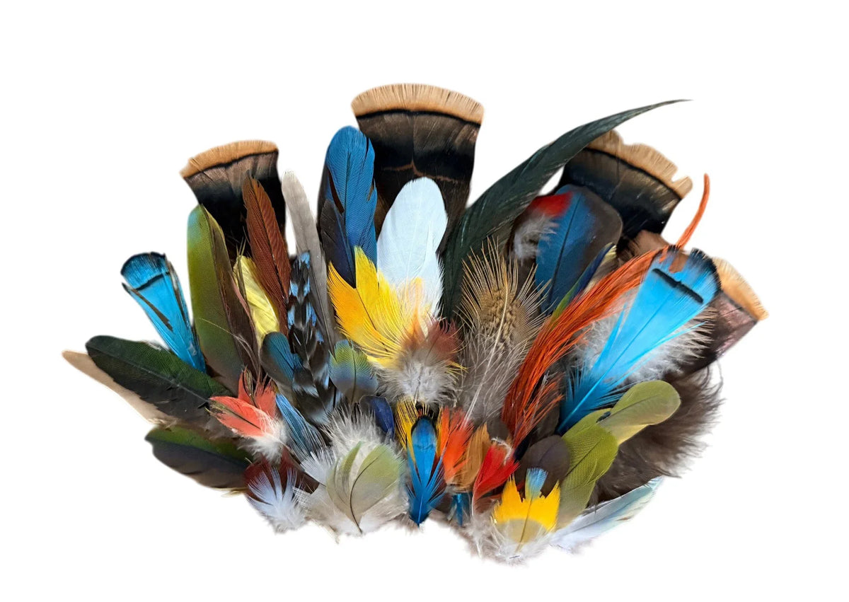Collection 110 - Mix Random Feather Sample Pack (Bulk)