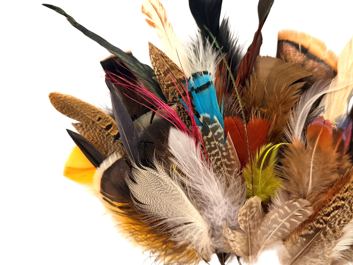 Collection 113 - Mix Random Feather Sample Pack (Bulk)