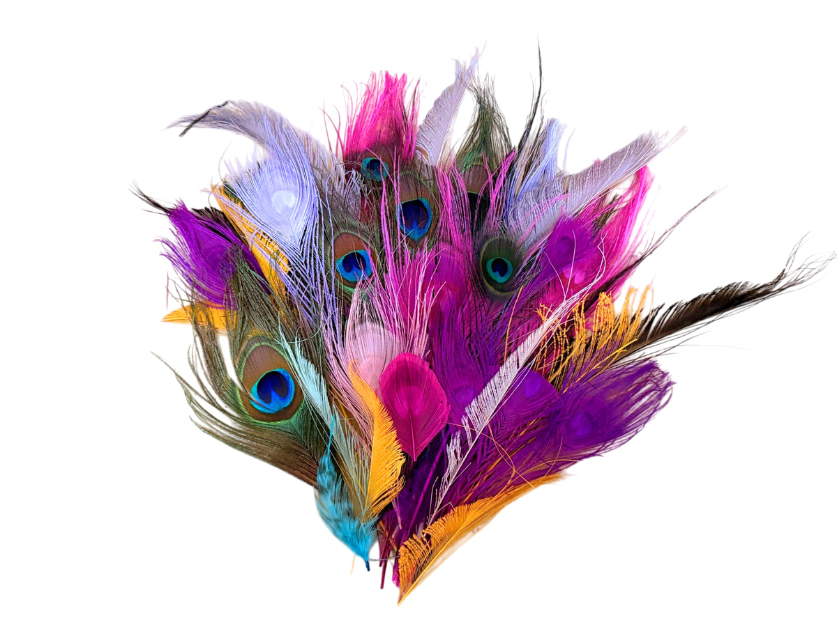 Collection 117 - Mix Random Feather Sample Pack (Bulk)