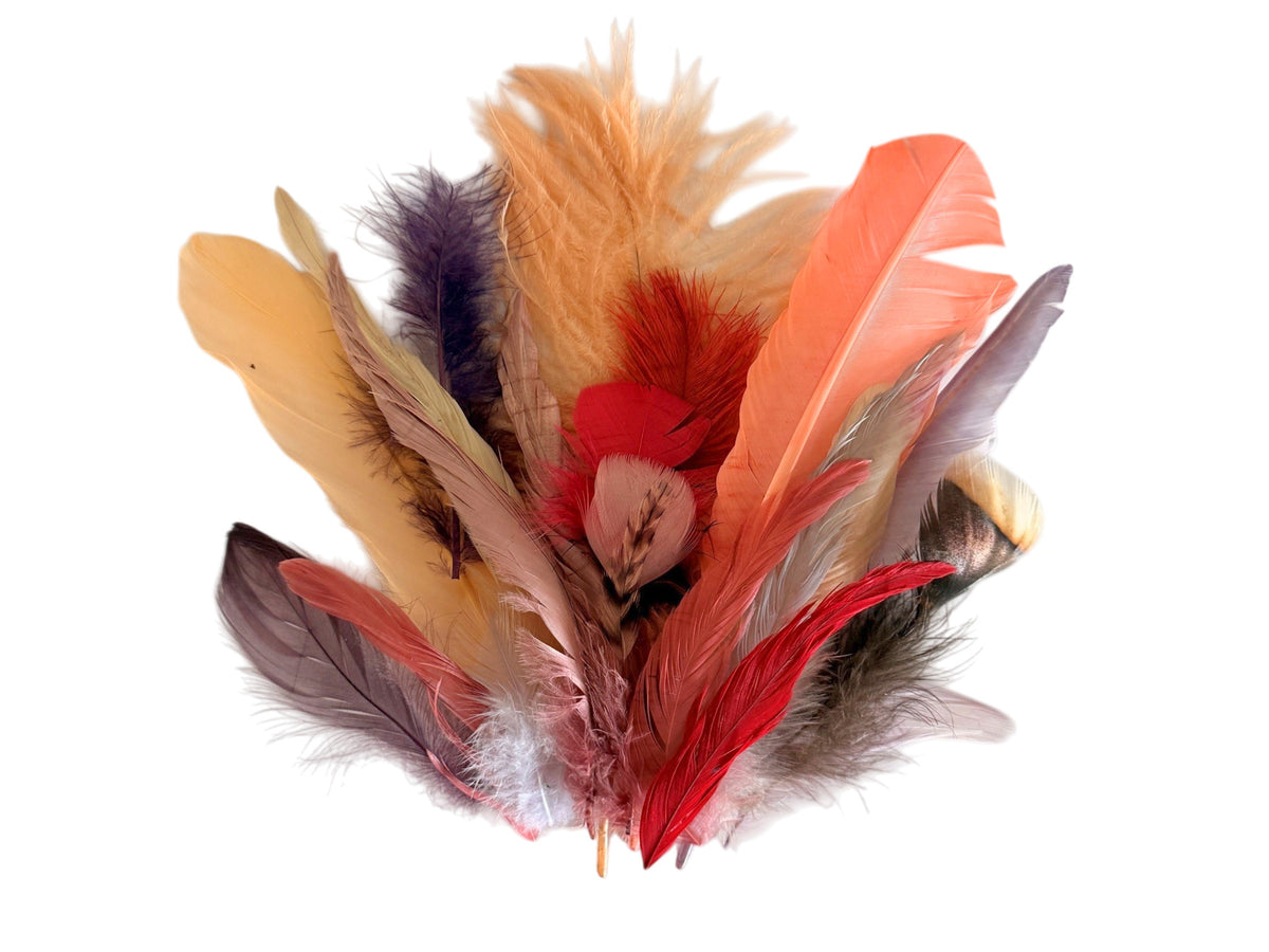 Collection 61 - Mix Random Feather Sample Pack (Bulk)