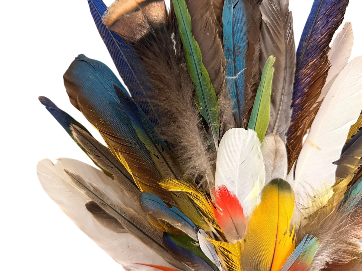 Collection 63 - Mix Random Exotic Feather Sample Pack (Bulk)