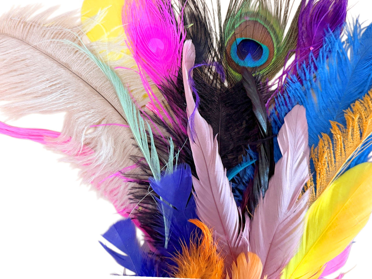 Collection 96 - Mix Random Feather Sample Pack (Bulk)