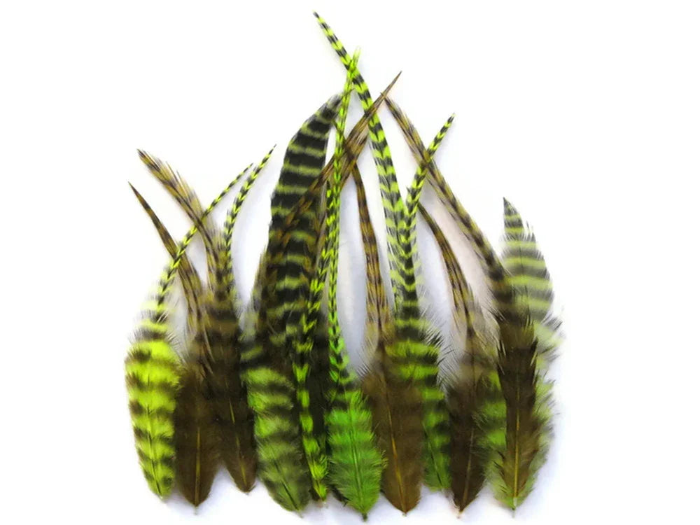 Natural striped green and black feathers for DIY crafts and fashion accessories.