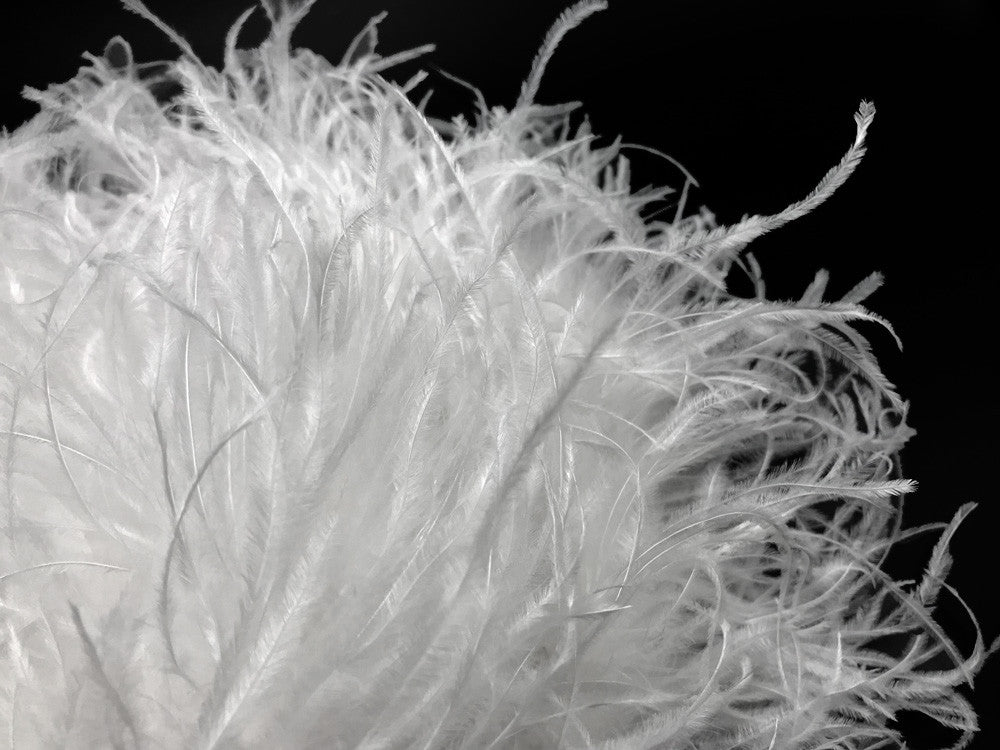 2 Yards - Snow White 3 Ply Ostrich Medium Weight Fluffy Feather Boa