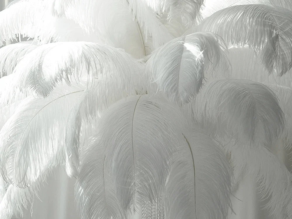 1/2 Lb - 18-24" White Prime Grade Large Ostrich Wing Plume Wholesale Feathers (Bulk)