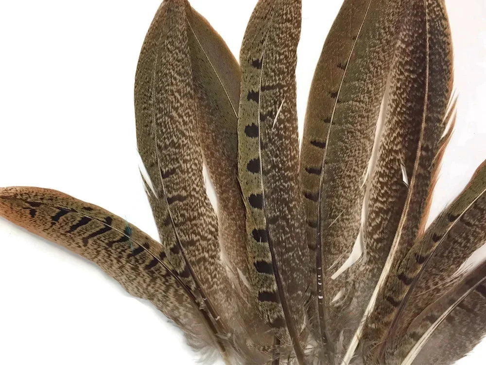 Natural brown patterned feathers for DIY crafts and fashion decor