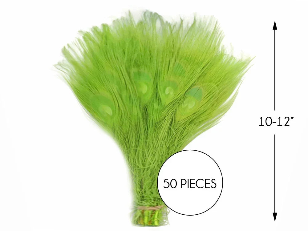 Bundle of 50 lime green peacock feathers, 10-12 inches long for crafts and DIY décor.