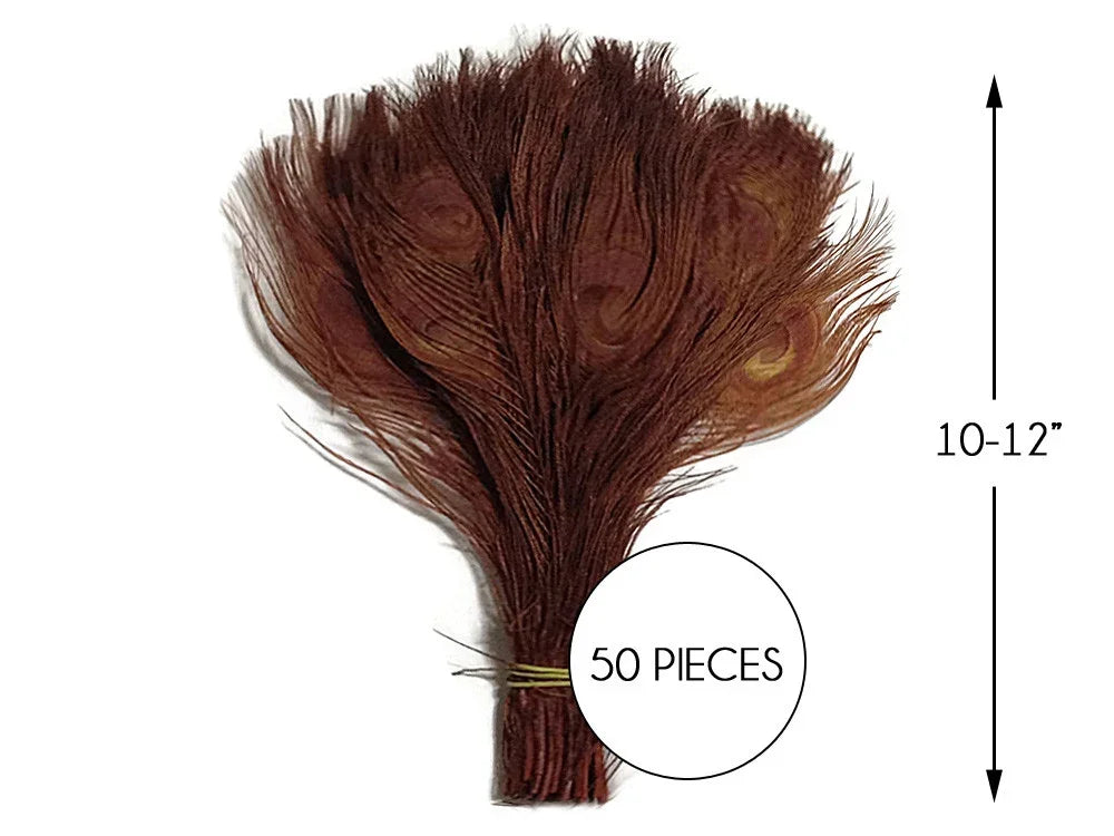 Bundle of 50 brown peacock feathers, 10-12 inches long, for DIY crafts and fashion decor.