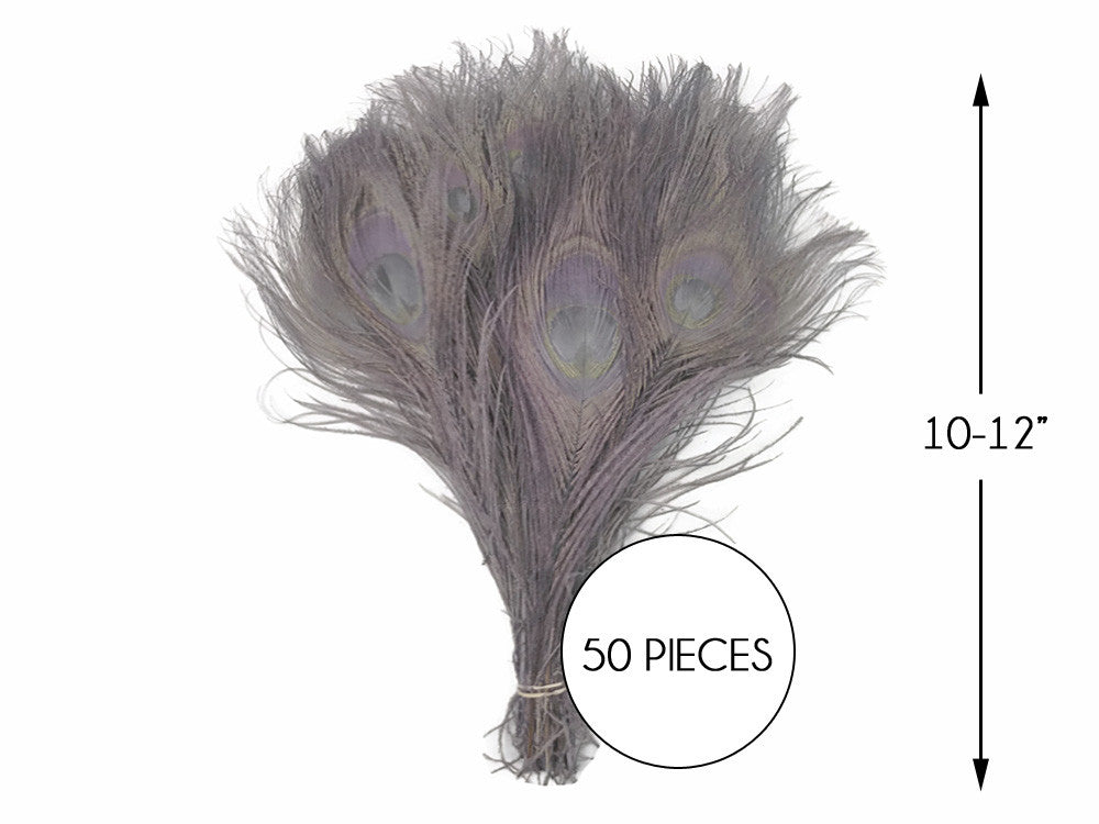 50 Pieces – Silver Gray Bleached & Dyed Peacock Tail Eye Wholesale Feathers (Bulk) 10-12” Long