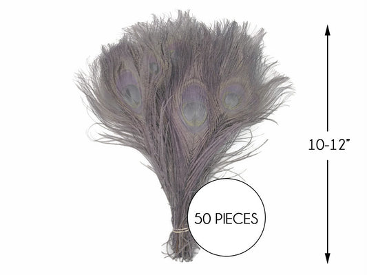 50 Pieces – Silver Gray Bleached & Dyed Peacock Tail Eye Wholesale Feathers (Bulk) 10-12” Long