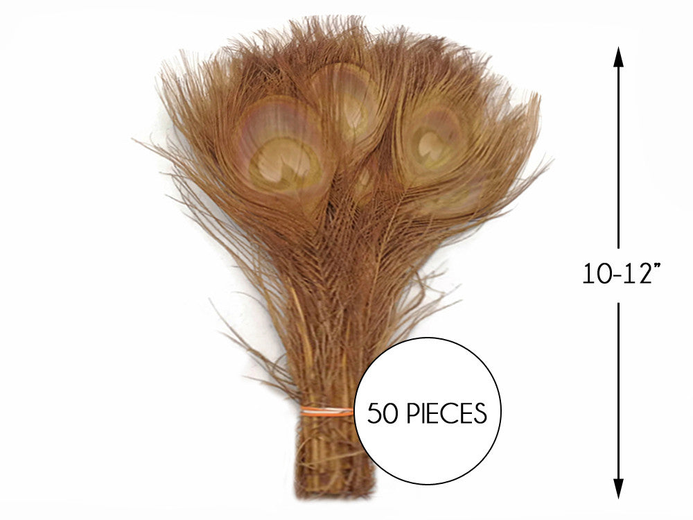 50 Pieces – Light Brown Bleached & Dyed Peacock Tail Eye Wholesale Feathers (Bulk) 10-12”