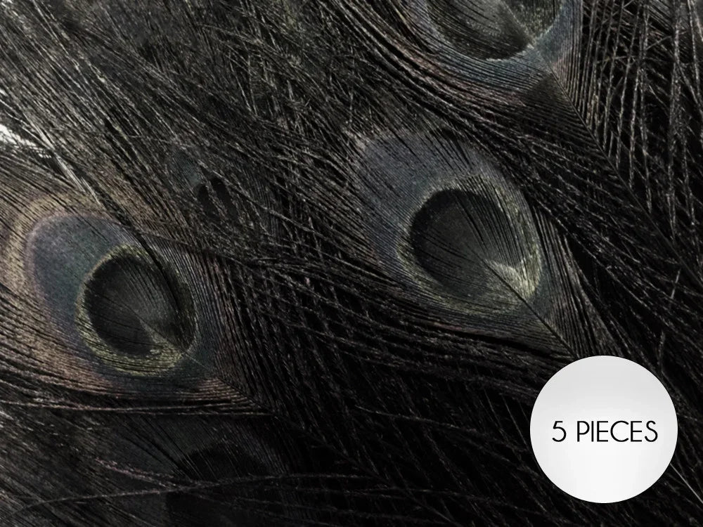 Set of 5 dark iridescent peacock feathers for crafts and fashion decor.