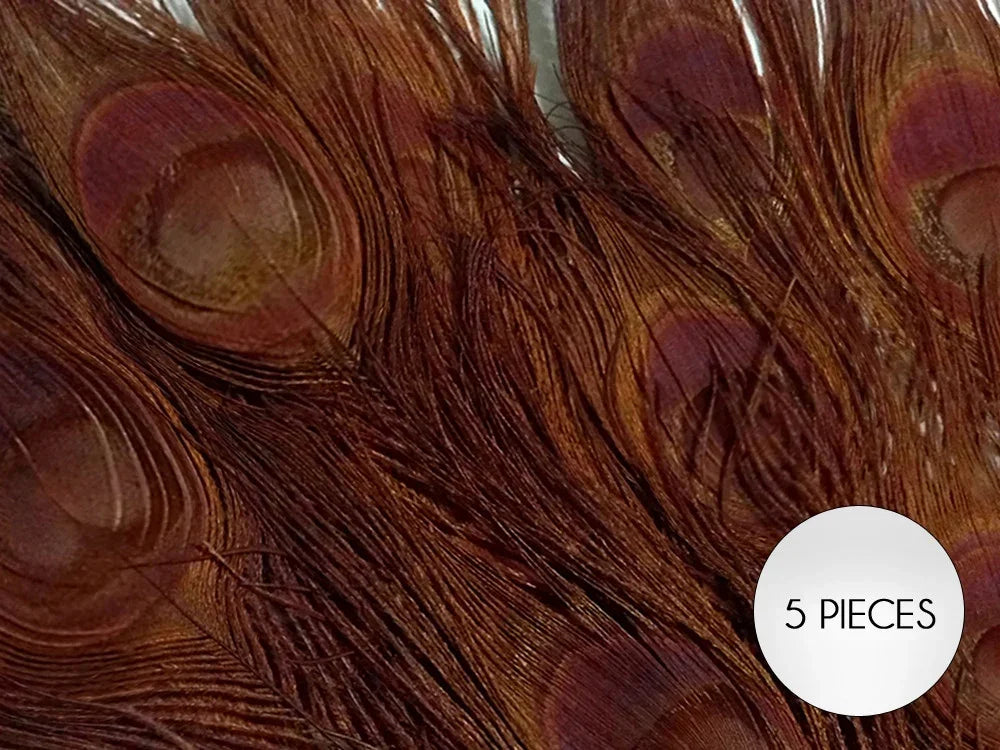 Set of 5 brown iridescent feathers for DIY crafts and fashion decor.