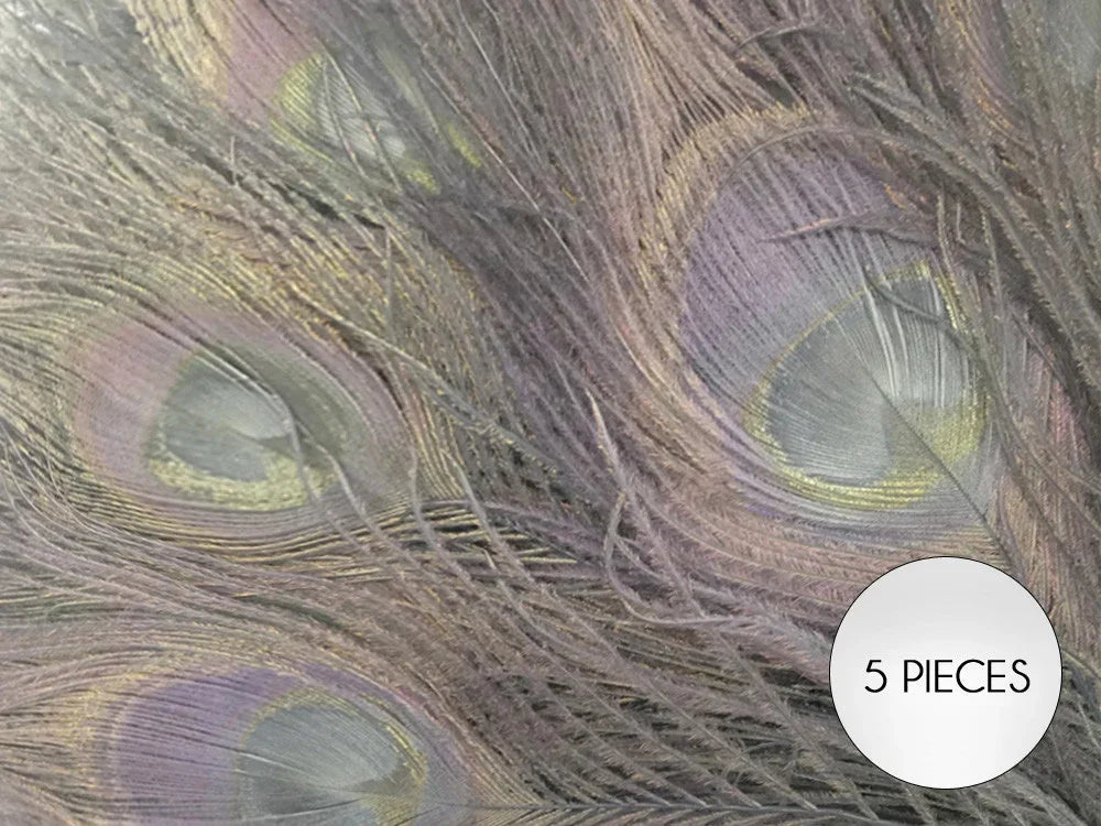 Set of 5 iridescent peacock feathers for crafts and fashion decor.