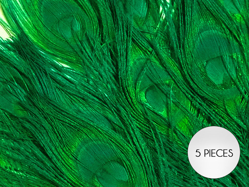 5 Pieces – Kelly Green Bleached & Dyed Peacock Tail Eye Feathers 10-12” Long