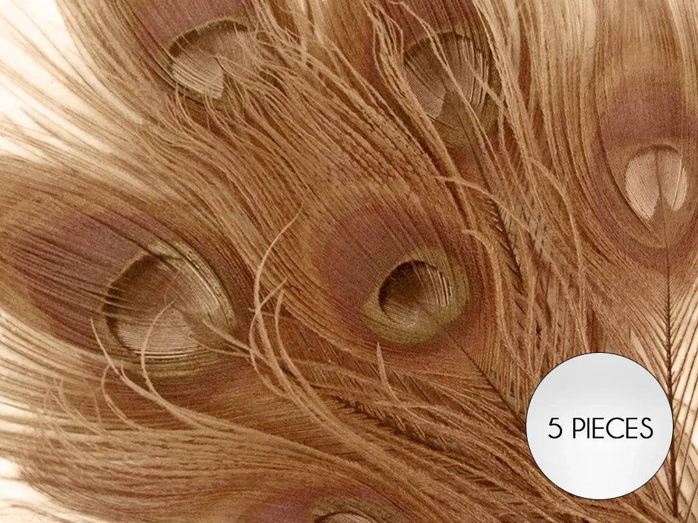 Set of 5 brown peacock feathers for DIY crafts and fashion decor.