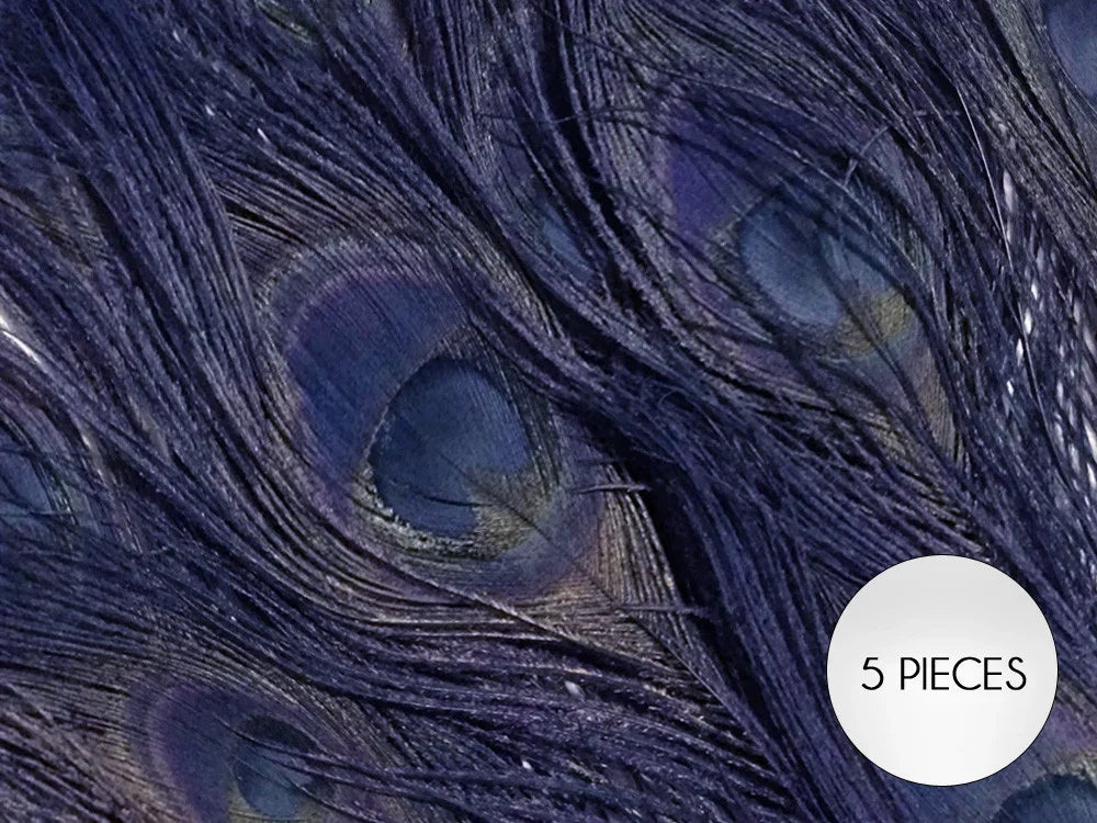 Set of 5 deep blue iridescent peacock feathers for crafts and fashion decor.