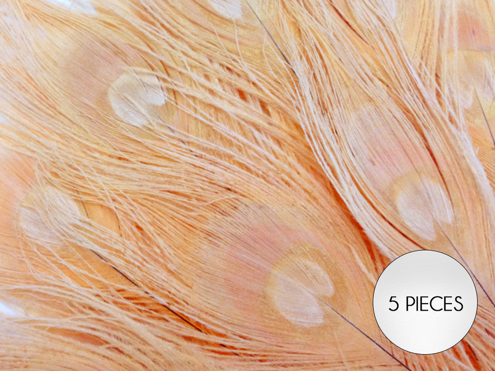 5 Pieces – Peach Pink Bleached & Dyed Peacock Tail Eye Feathers 10-12” Long