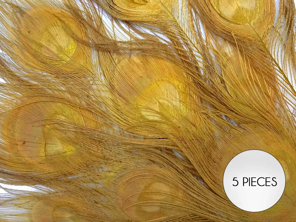 Set of 5 gold dyed peacock feathers for DIY crafts and fashion decor.